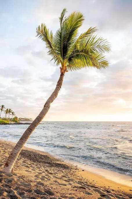 Сasa de vacaciones Unit C - Sandy Toes Getaway In Kona Kailua-Kona