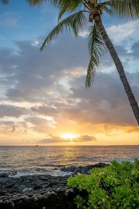 Unit C - Sandy Toes Getaway In Kona 凯路亚-科纳